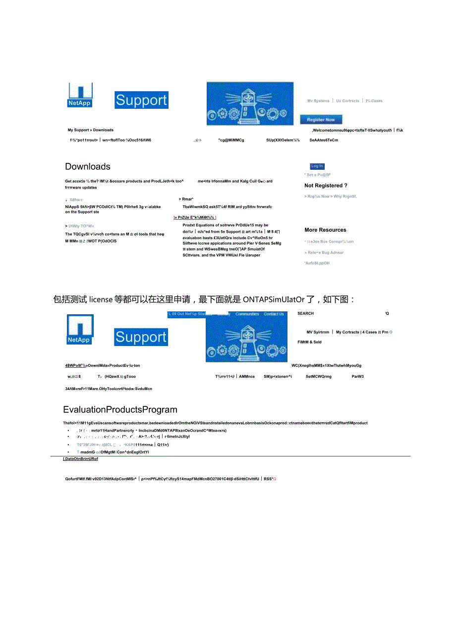 NetApp Simulator 简介.docx_第3页