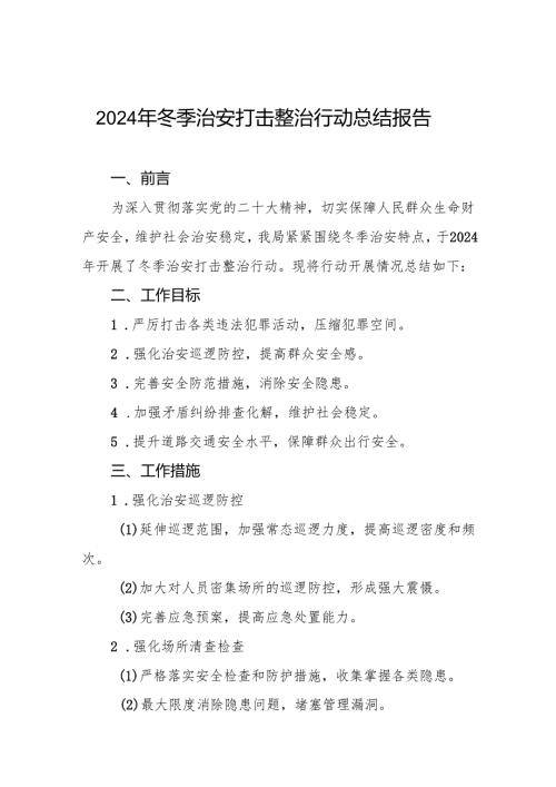十三篇公安局关于开展冬季治安打击整治行动的情况报告.docx