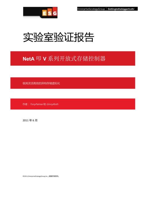 NetApp ESG实验报告NetApp V系列开放式存储控制器.docx