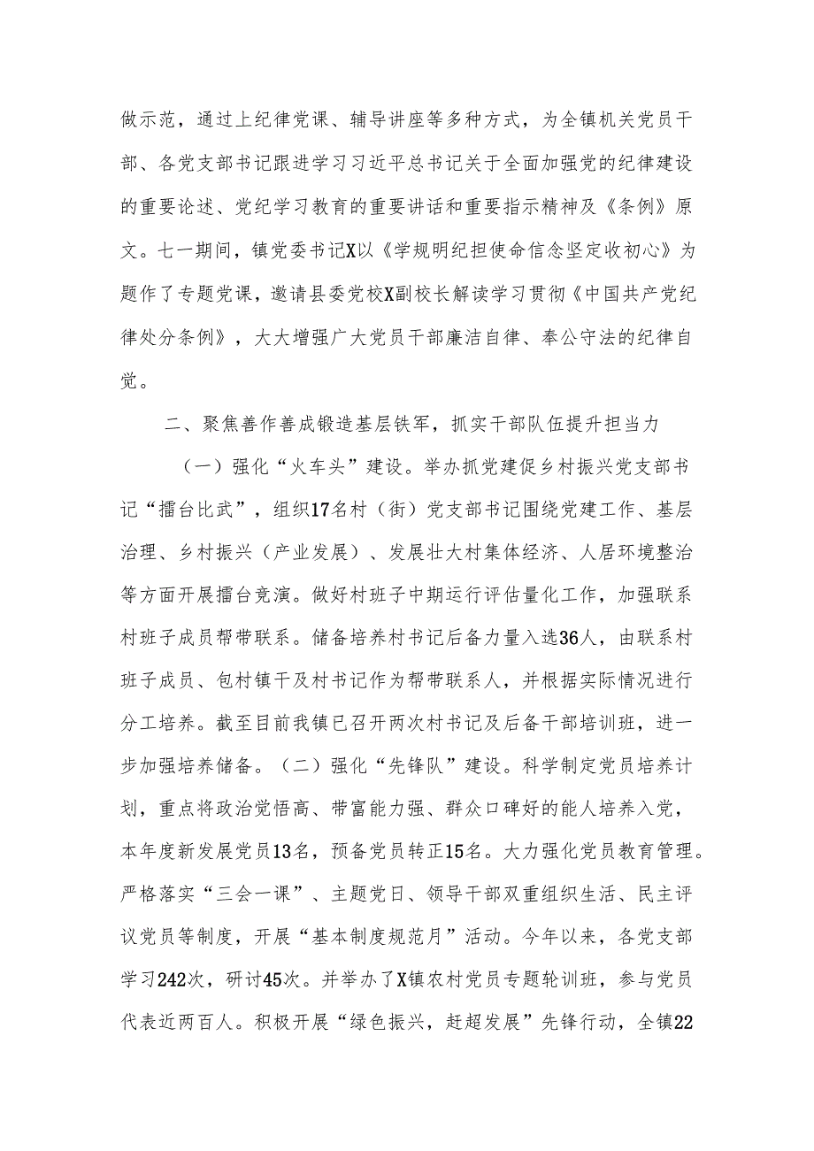 X镇2024党建工作情况报告.docx_第2页