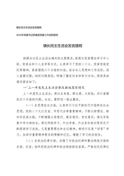 镇长民主生活会发言提纲+2024年党委书记抓基层党建工作述职报告.docx
