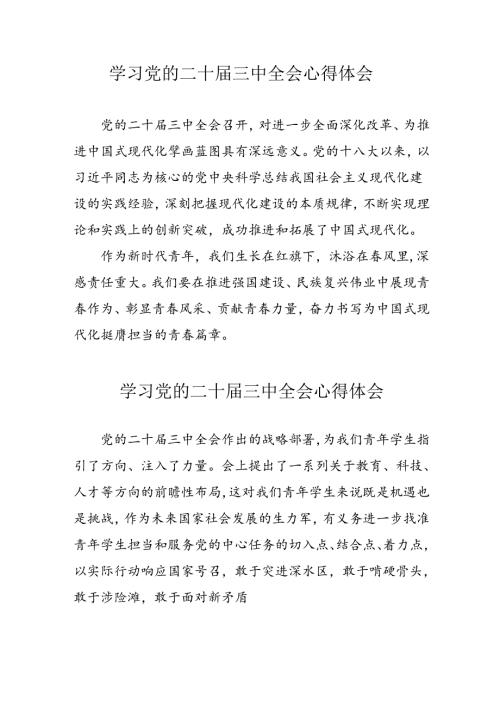 学习2024年党的二十三中全会个人心得体会 合计17份.docx