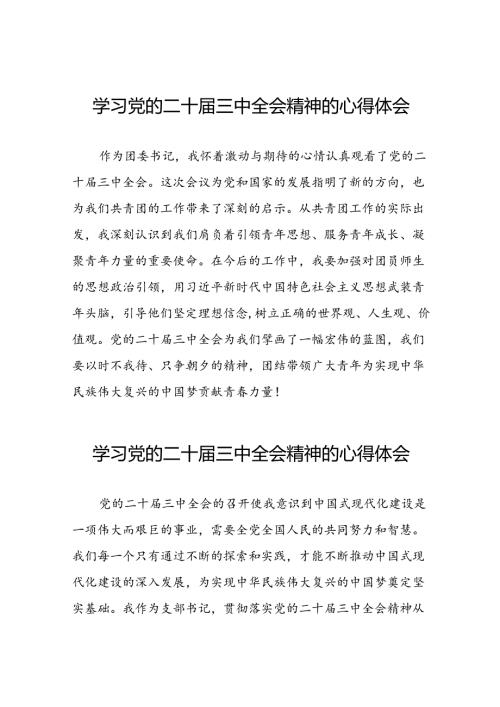 学习党的二十三中全会的心得体会发言材料十四篇.docx