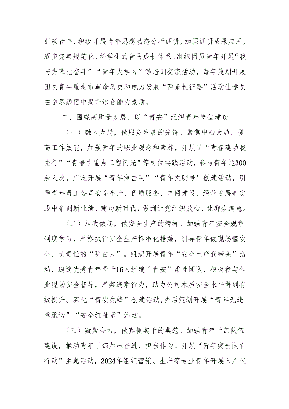 国有企业2024年青年培养工作总结.docx_第2页