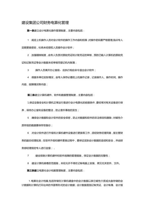 建设集团公司财务电算化管理.docx