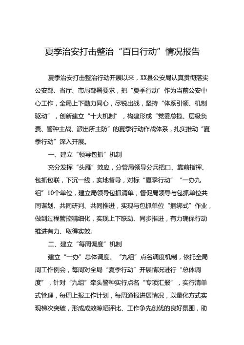 2024年公安夏季治安打击整治专项行动总结汇报11篇.docx