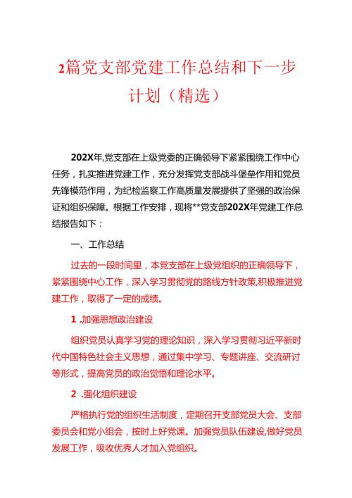 2篇党支部党建工作总结和下一步计划（精选）.docx