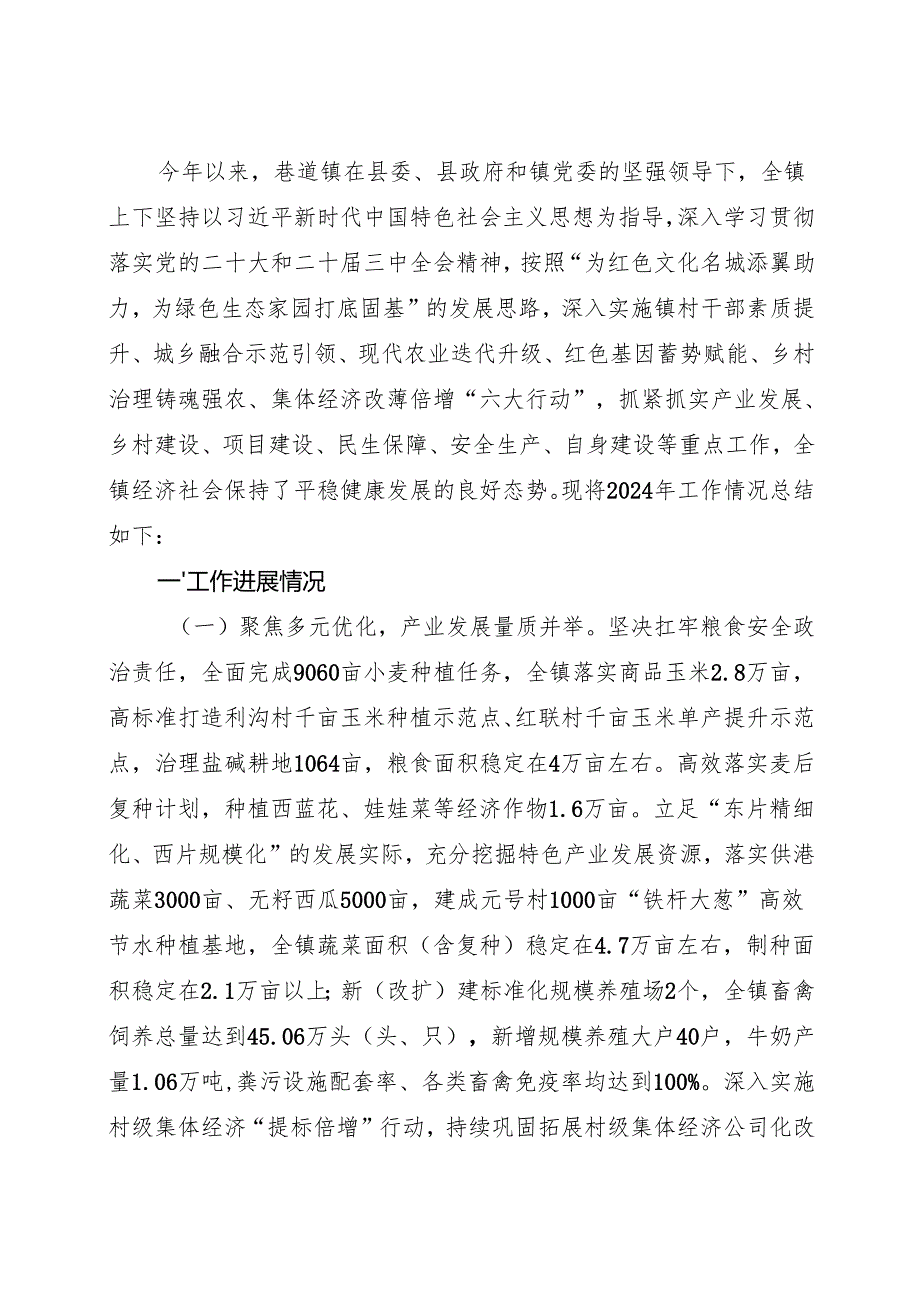 乡镇2024年工作总结及2025年工作计划6篇.docx_第1页