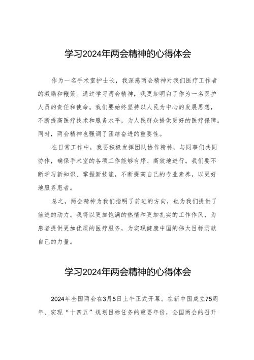医生护士学习2024年两会精神的心得体会十篇.docx