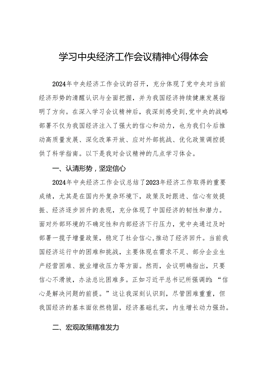 2024年学习贯彻中央经济工作会议精神心得体会个人发言材料11篇.docx_第1页