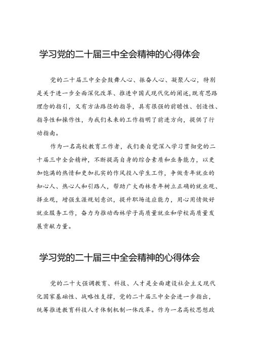 关于二十三中全会精神的心得体会发言材料四十四篇.docx