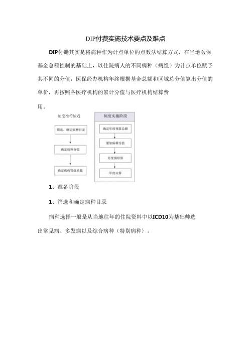 DIP付费实施技术要点及难点.docx