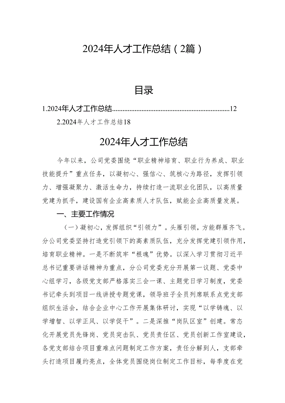 2024年人才工作总结（2篇）.docx_第1页