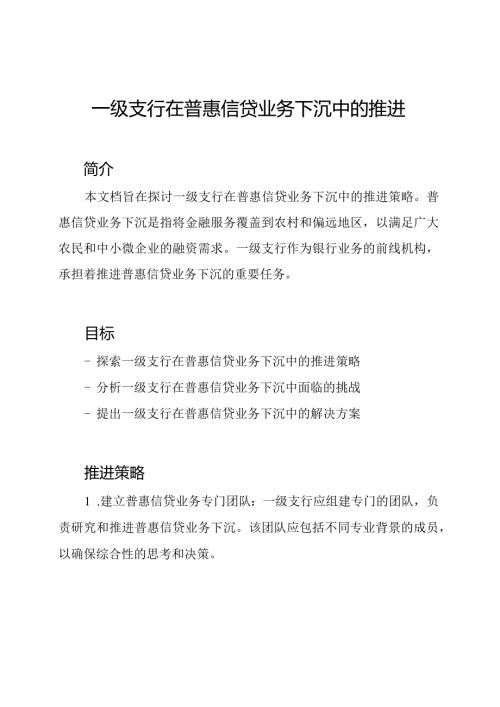 一级支行在普惠信贷业务下沉中的推进.docx