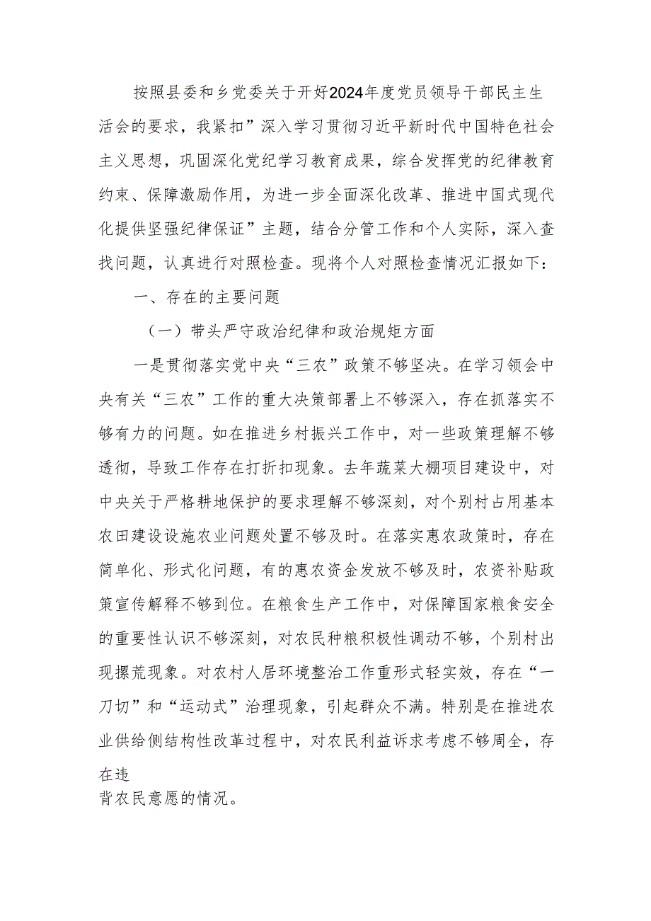 副乡长2024年民主生活检查材料发言材料（四个带头）范文两篇.docx_第1页