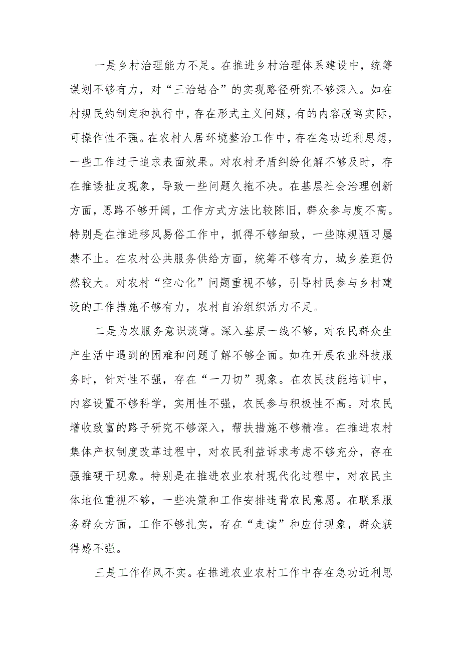 副乡长2024年民主生活检查材料发言材料（四个带头）范文两篇.docx_第3页