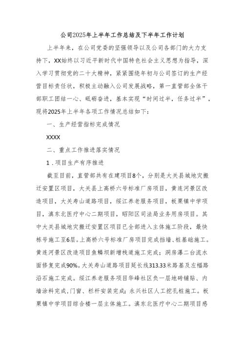 公司2025年上半年工作总结及下半年工作计划.docx