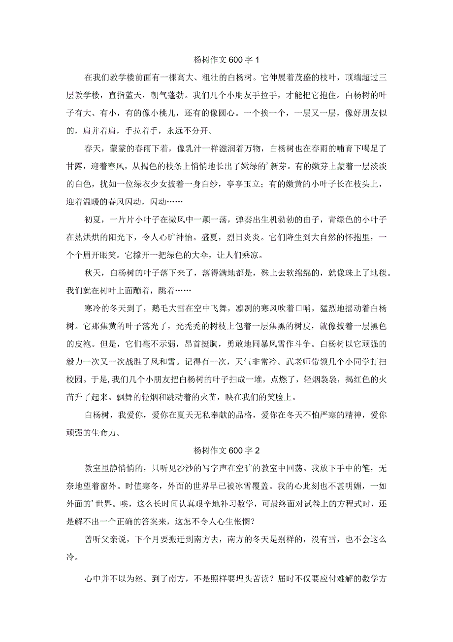 杨树作文600字2篇.docx_第1页