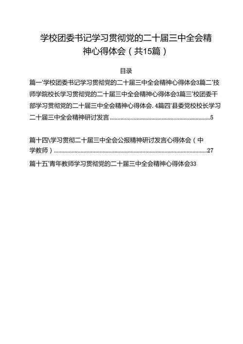 学校团委书记学习贯彻党的二十三中全会精神心得体会15篇（详细版）.docx