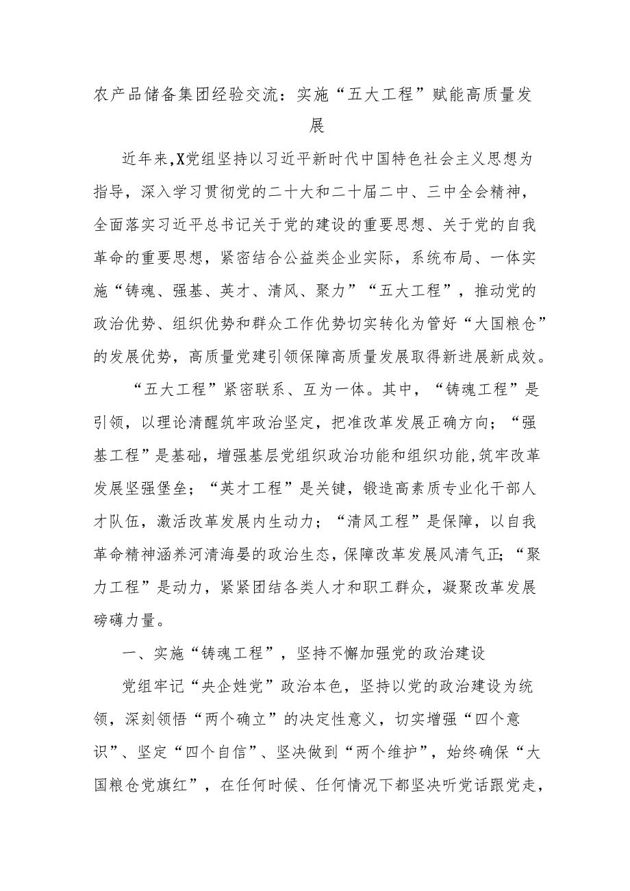 农产品储备集团经验交流：实施“五大工程”赋能高质量发展.docx_第1页