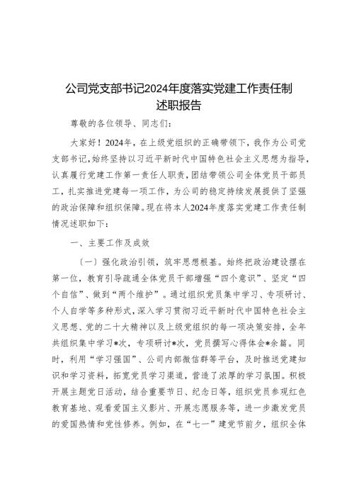 公司党支部书记 2024 落实党建工作责任制述职报告.docx