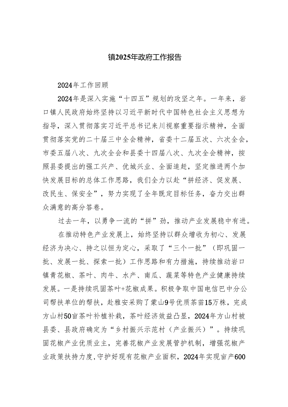 镇2025年政府工作报告.docx_第1页