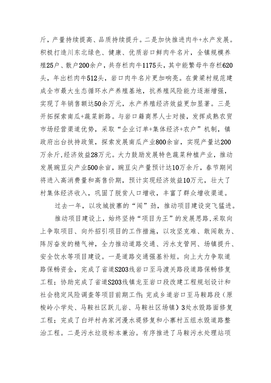 镇2025年政府工作报告.docx_第2页