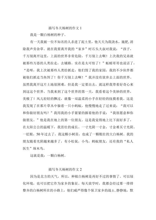 描写冬天杨树的作文（精选11篇）.docx