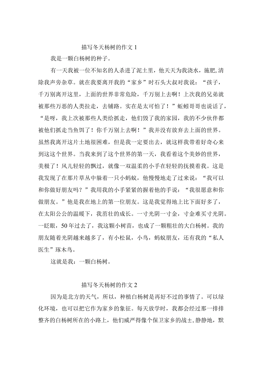 描写冬天杨树的作文（精选11篇）.docx_第1页