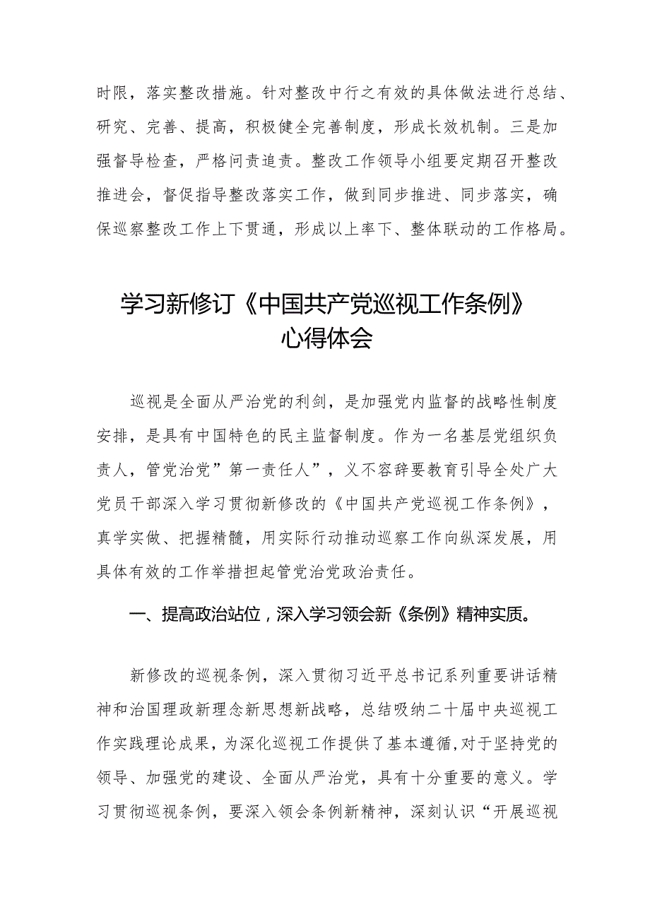 2024年新修改《中国共产党巡视工作条例》的心得体会(五篇).docx_第3页