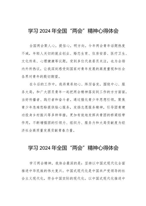 青年干部学习2024年全国“两会”精神心得体会二十篇.docx
