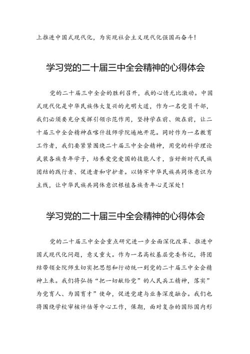 学习党的二十三中全会精神的心得感悟交流发言31篇.docx