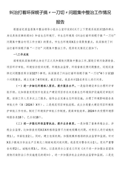 纠治打着环保幌子搞“一刀切”问题集中整治工作情况报告(1).docx