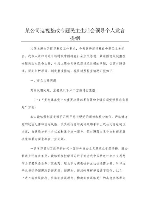 某公司巡视整改专题民主生活会领导个人发言提纲.docx