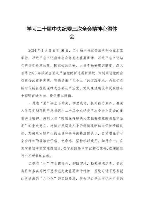 学习二十中央纪委三次全会精神心得体会精品范文十九篇.docx