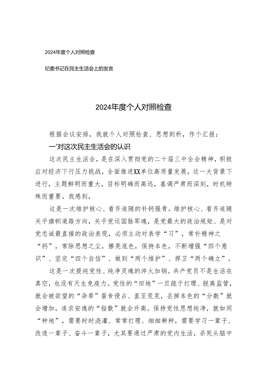 2024个人对照检查发言+纪委书记在民主生活会上的发言.docx_第1页