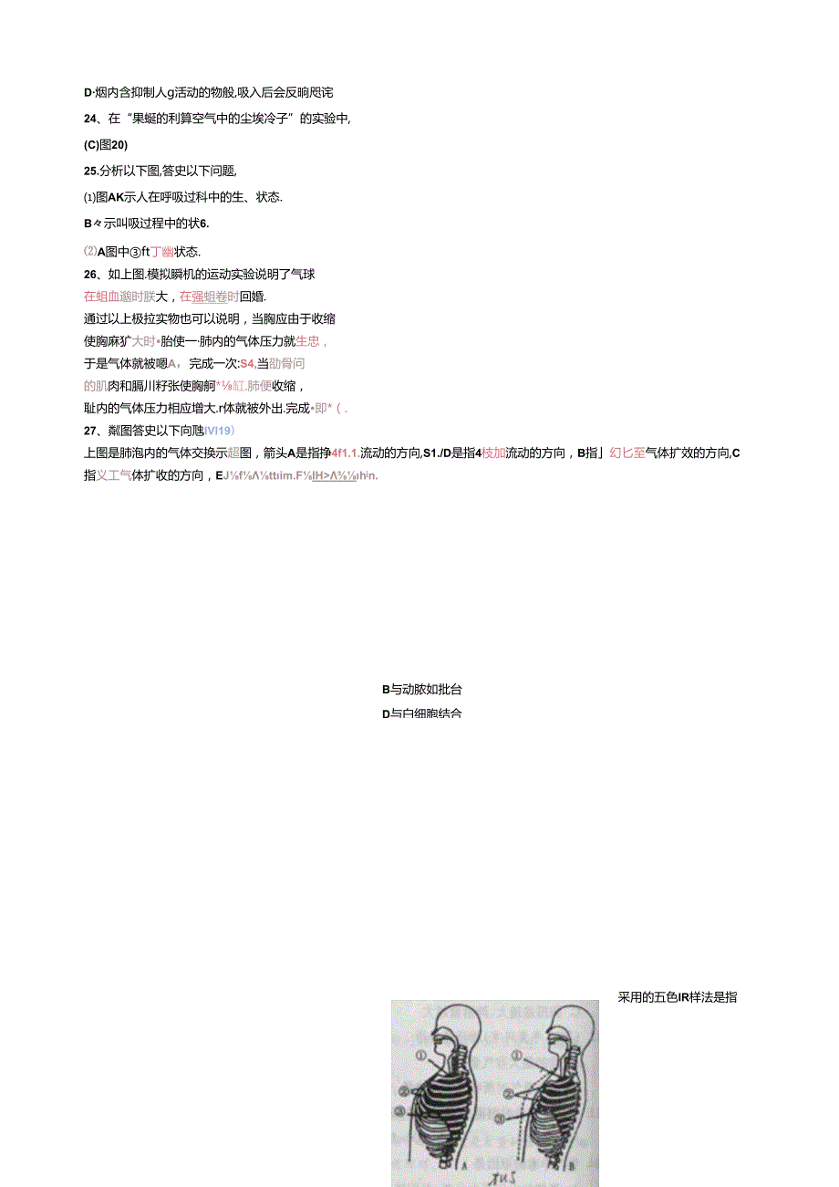 第三章人体的呼吸测试题试题3.docx_第3页