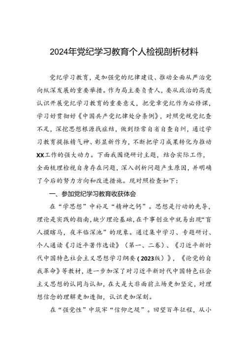 重点查摆四个检视方面问题2024年党纪学习教育专题民主生活会个人对照检视检查发言材料四篇.docx
