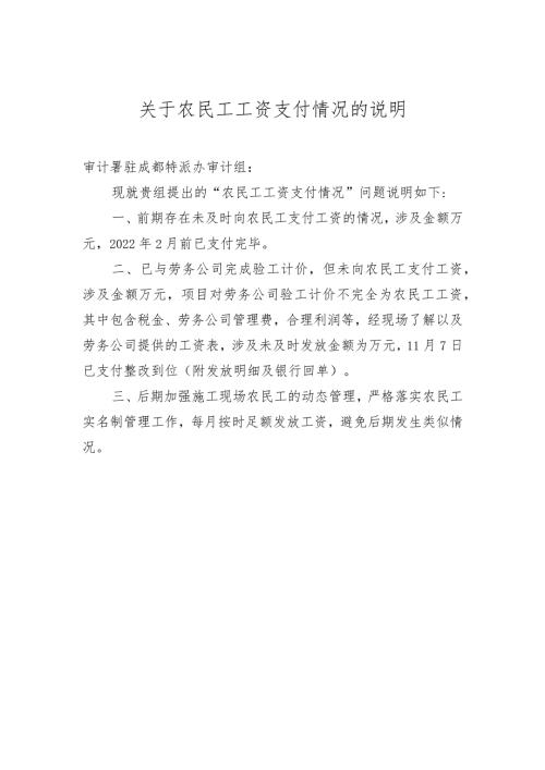 关于农民工工资支付情况的说明.docx