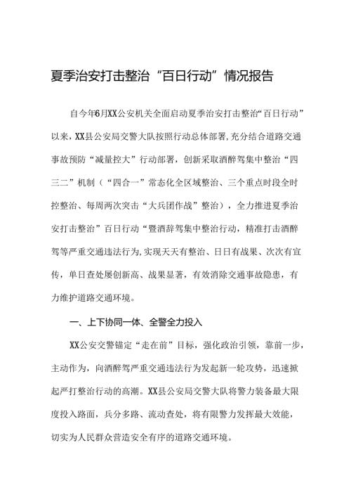 2024夏季治安打击整治“百日行动”情况汇报十篇.docx