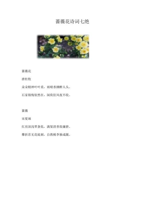 蔷薇花诗词七绝.docx