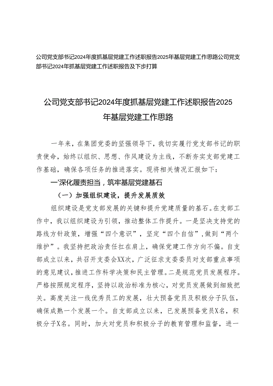 公司党支部书记2024抓基层党建工作述职报告2025年基层党建工作思路.docx_第1页