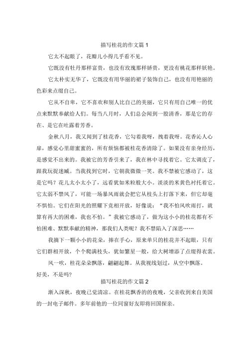 描写桂花的作文5篇.docx