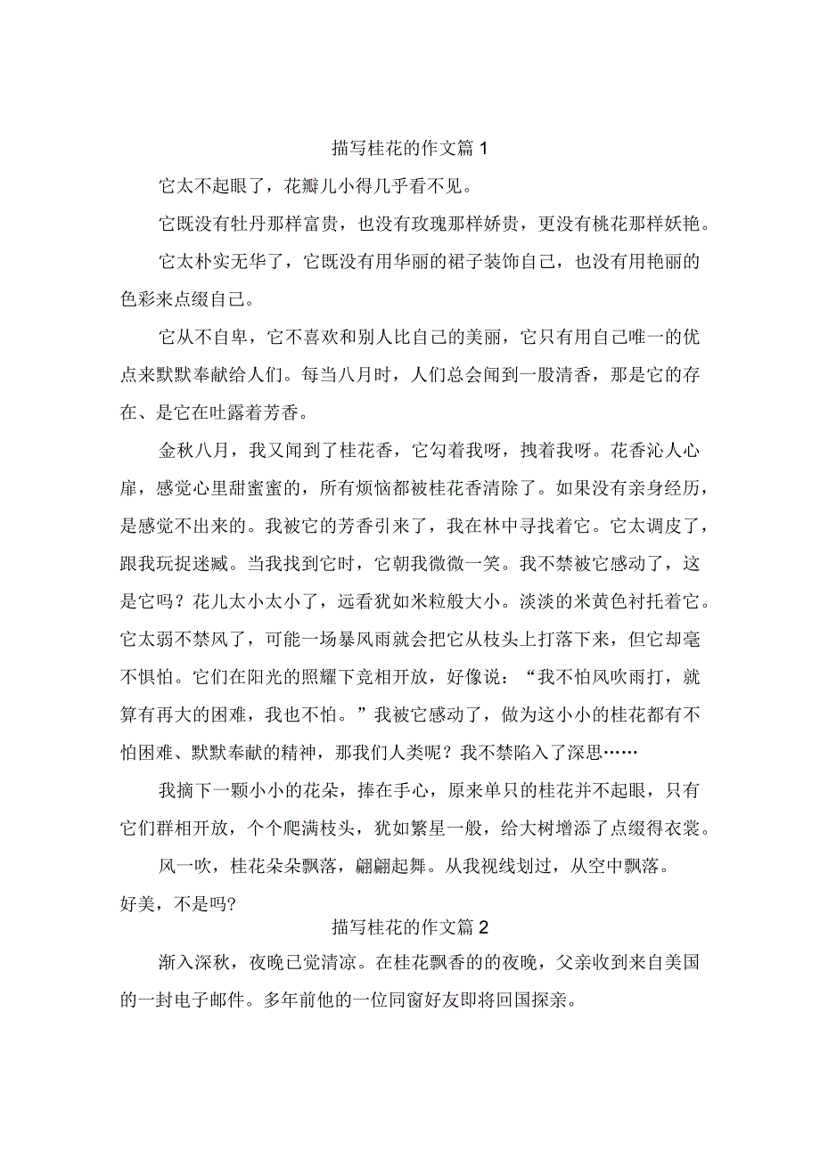 描写桂花的作文5篇.docx_第1页