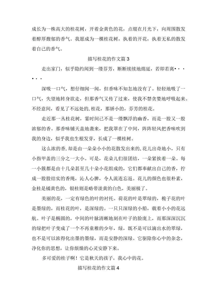 描写桂花的作文5篇.docx_第3页
