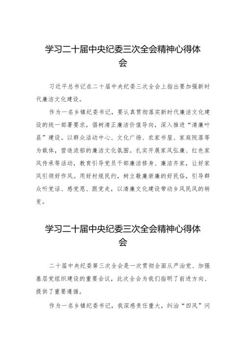 纪委书记关于二十中央纪委三次全会精神的学习体会十九篇.docx