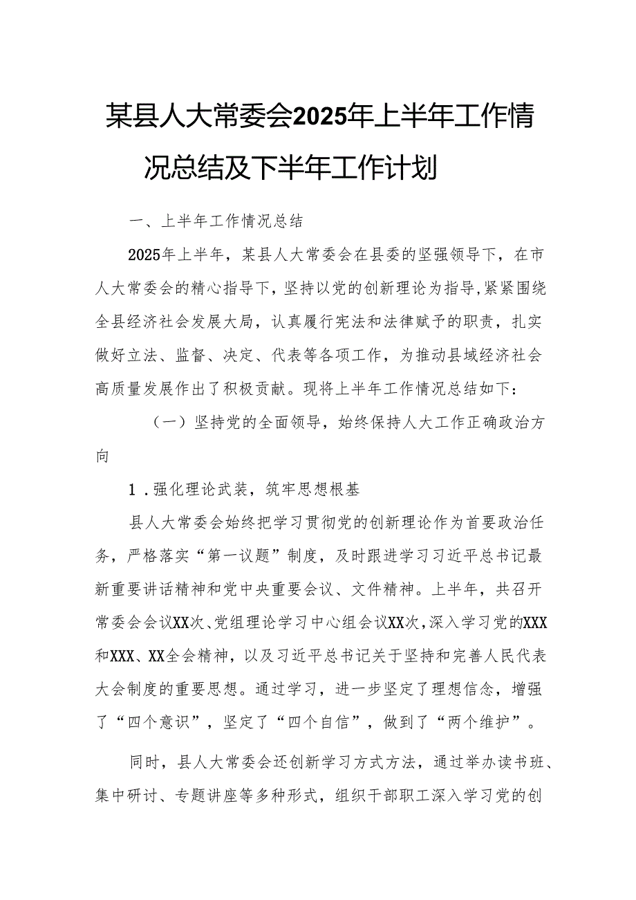 某县人大常委会2025年上半年工作情况总结及下半年工作计划.docx_第1页