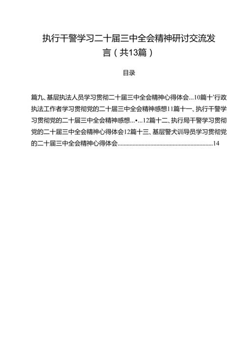 执行干警学习二十三中全会精神研讨交流发言（共13篇）.docx