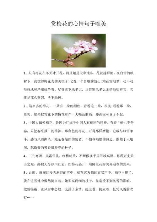 赏梅花的心情句子唯美.docx