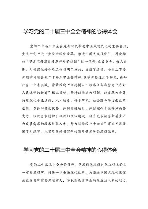 (精选)学习2024年党的二十三中全会精神的心得体会三十篇.docx